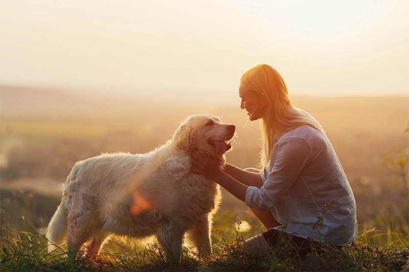 FORMATION ÉDUCATEUR CANIN COMPORTEMENTALISTE et FORMATION SECOURISME CANIN